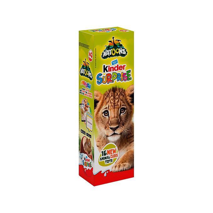 Kinder Surprise Chocolate 1