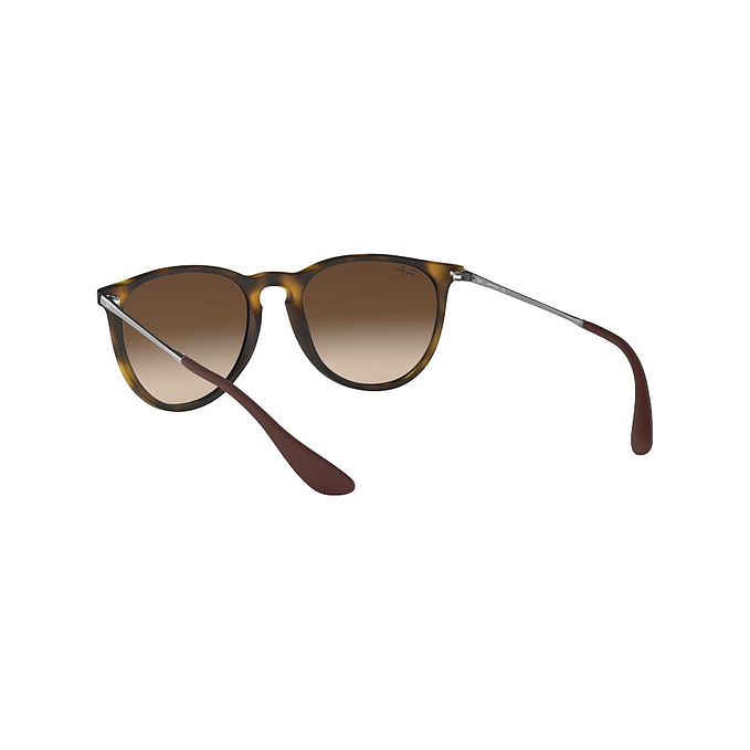 Ray-Ban Erika 2