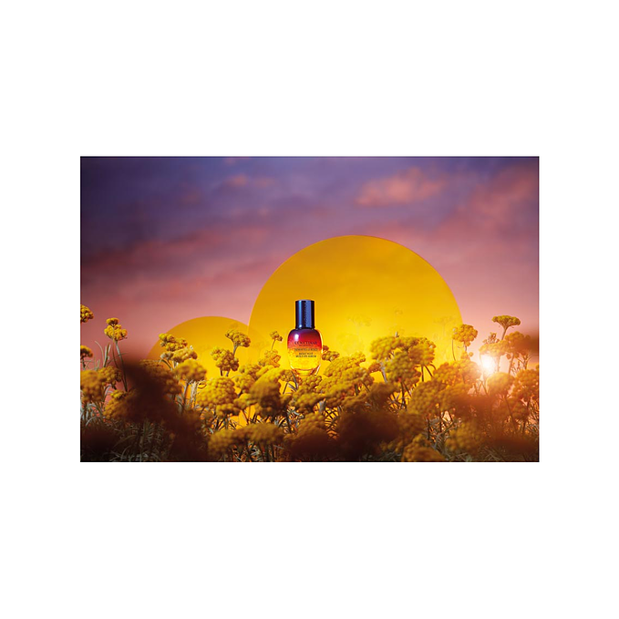 L'Occitane en Provence Immortelle Reset Eye Serum 3