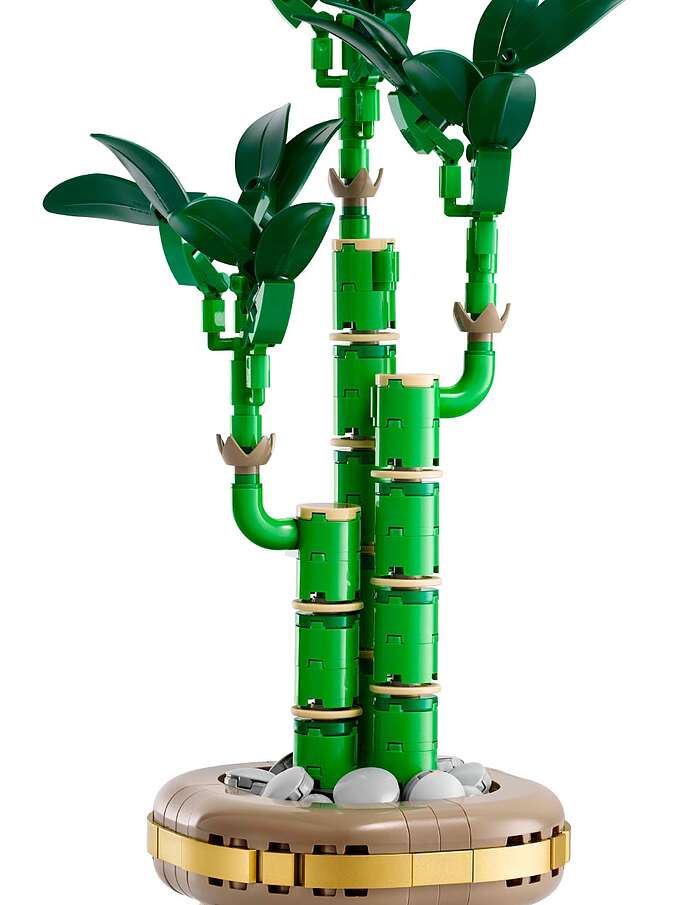 Lego Botanicals Lucky bamboo 1