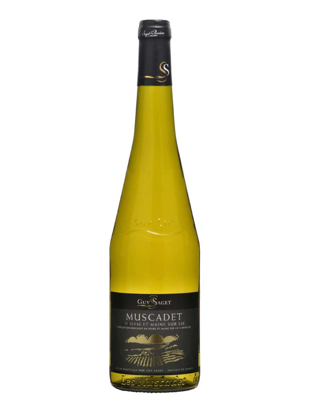 Guy Saget, Sevre et Maine sur Lie