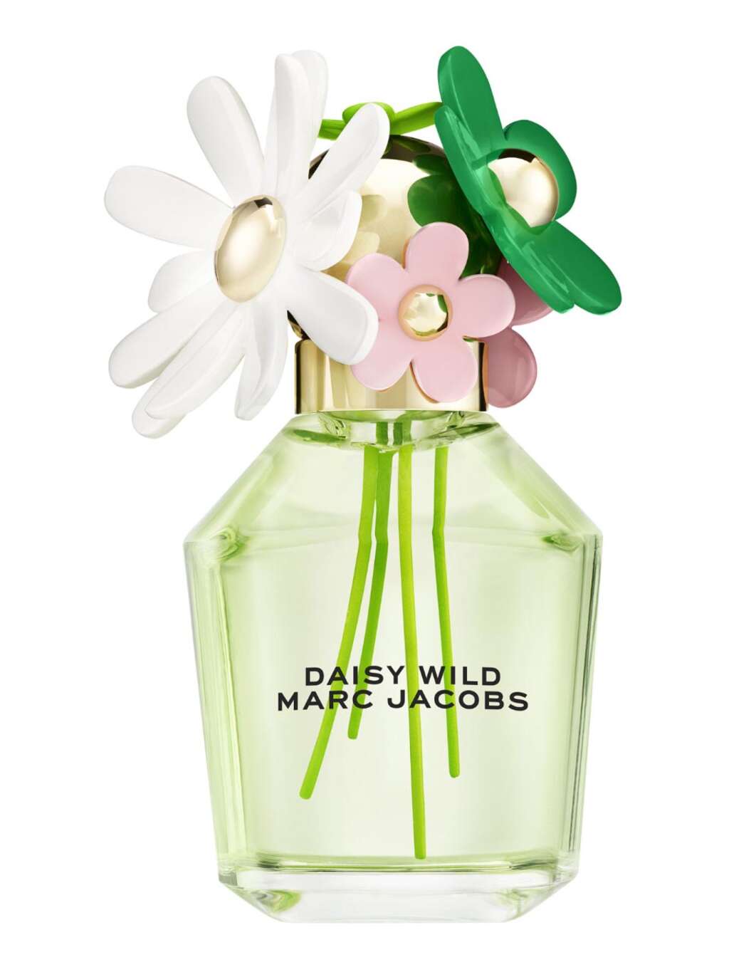 Marc Jacobs Daisy Wild Eau de Parfum 100 ml