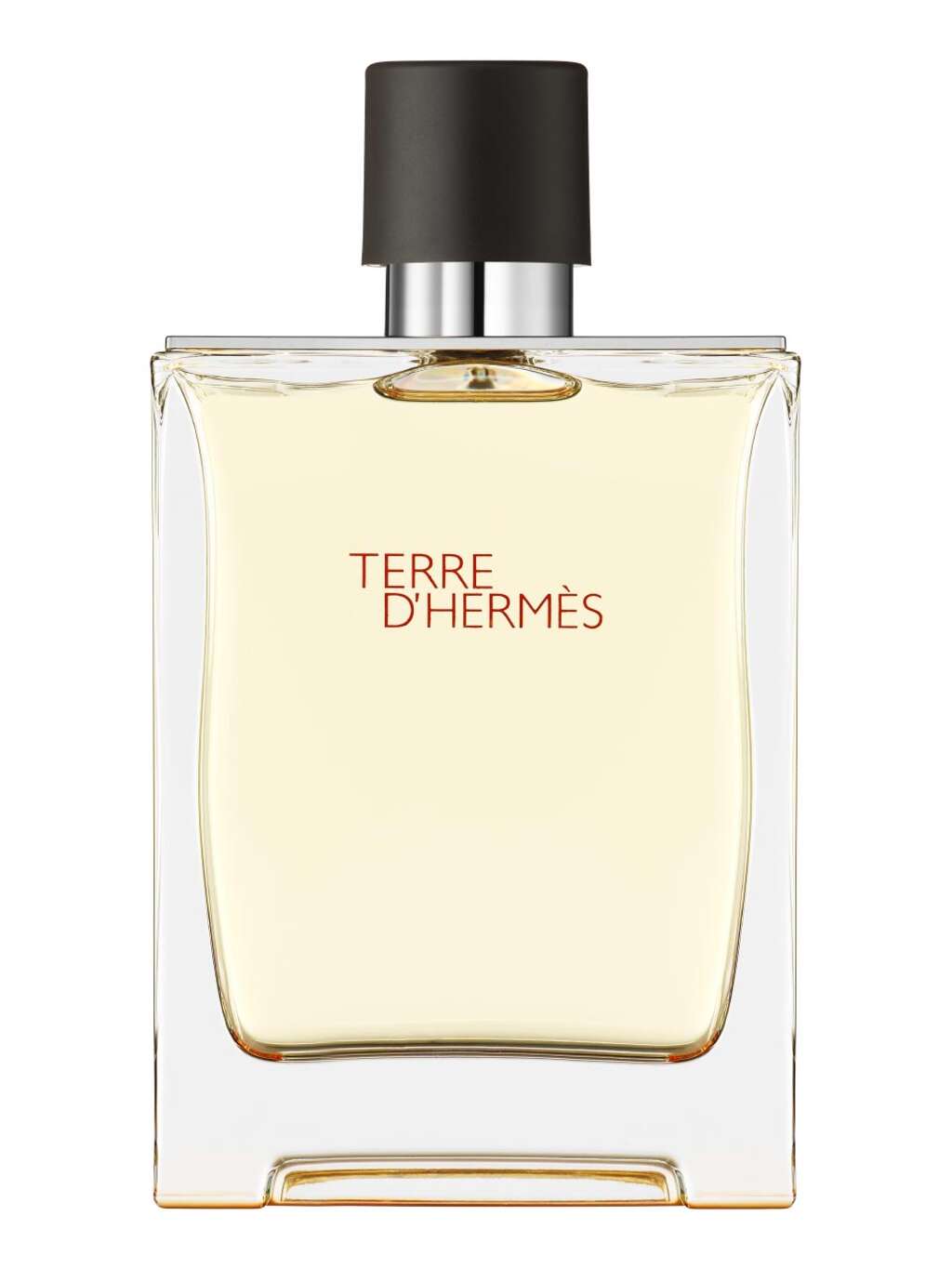Hermès Terre d'Hermès