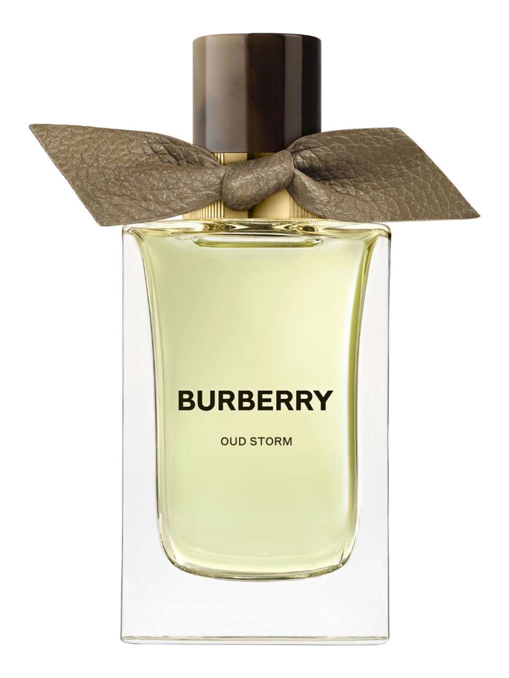 Burberry Signatures Extreme Botanicals Oud Storm Eau de Parfum
