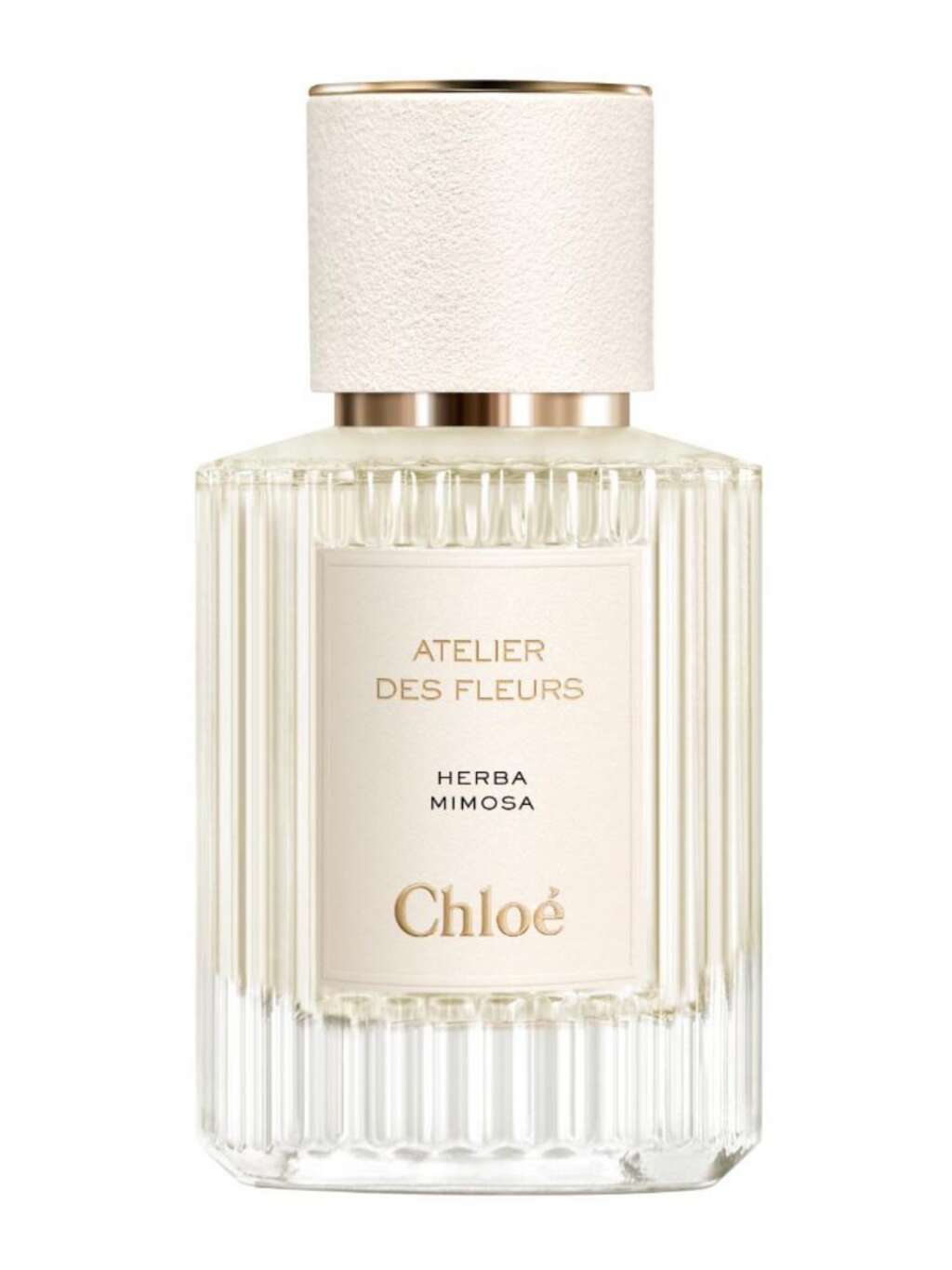 Chloé Atelier des Fleurs Herba Mimosa Eau de Parfum 50 ml