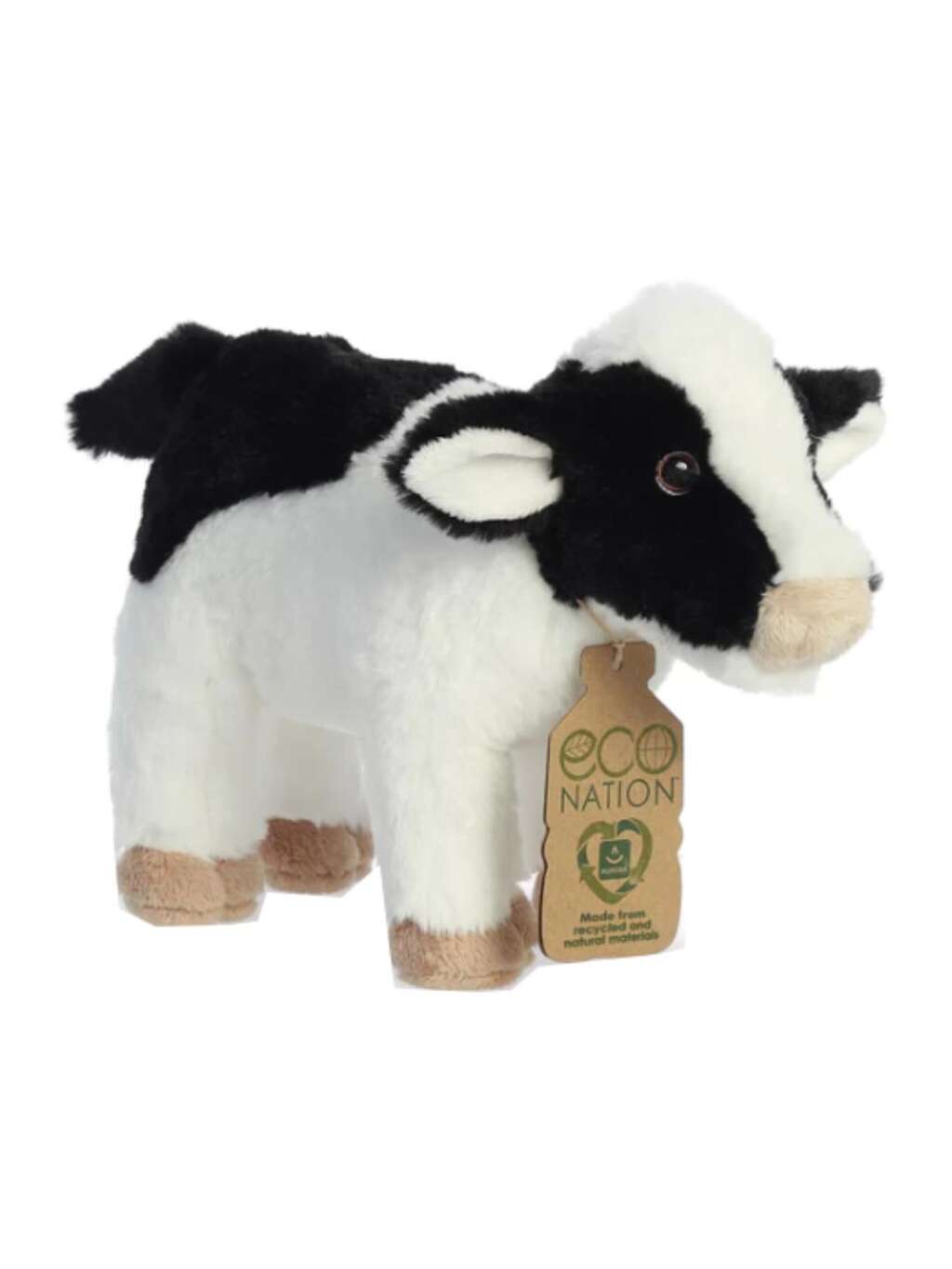 Aurora Eco Nation ku