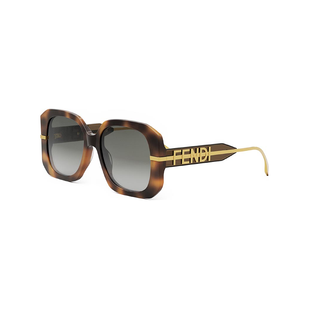 Fendi Fendigraphy 55B