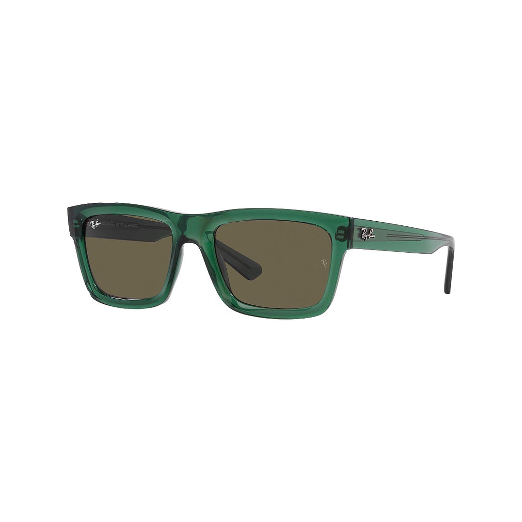 Ray Ban 0RB4396