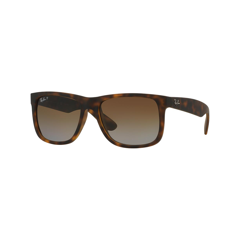 Ray-Ban Justin Sunglasses