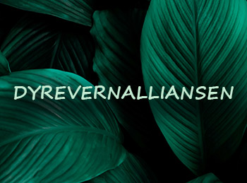 Dyrevernalliansen_350x259.jpg